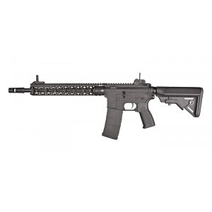 Raven Evolution ORE HIVE 12 AEG - Black