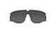Wiley X ROGUE Replacement Lens - Grey
